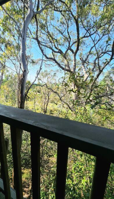 The Black Cockatoo - Secret Garden Treetops Home Katoomba Ngoại thất bức ảnh